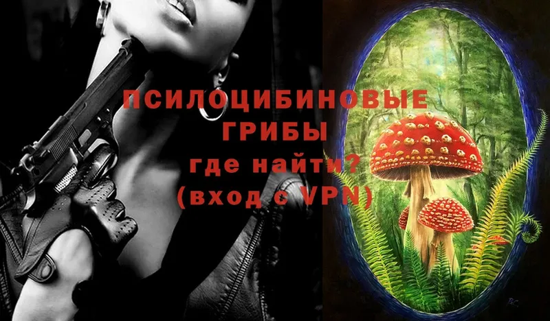 Псилоцибиновые грибы Magic Shrooms  Нижняя Тура 